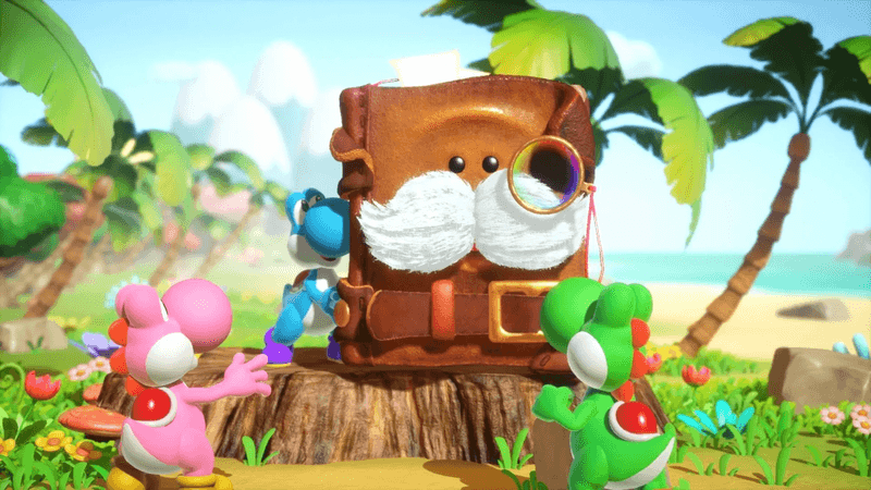 Yoshi and the Mysterious Book