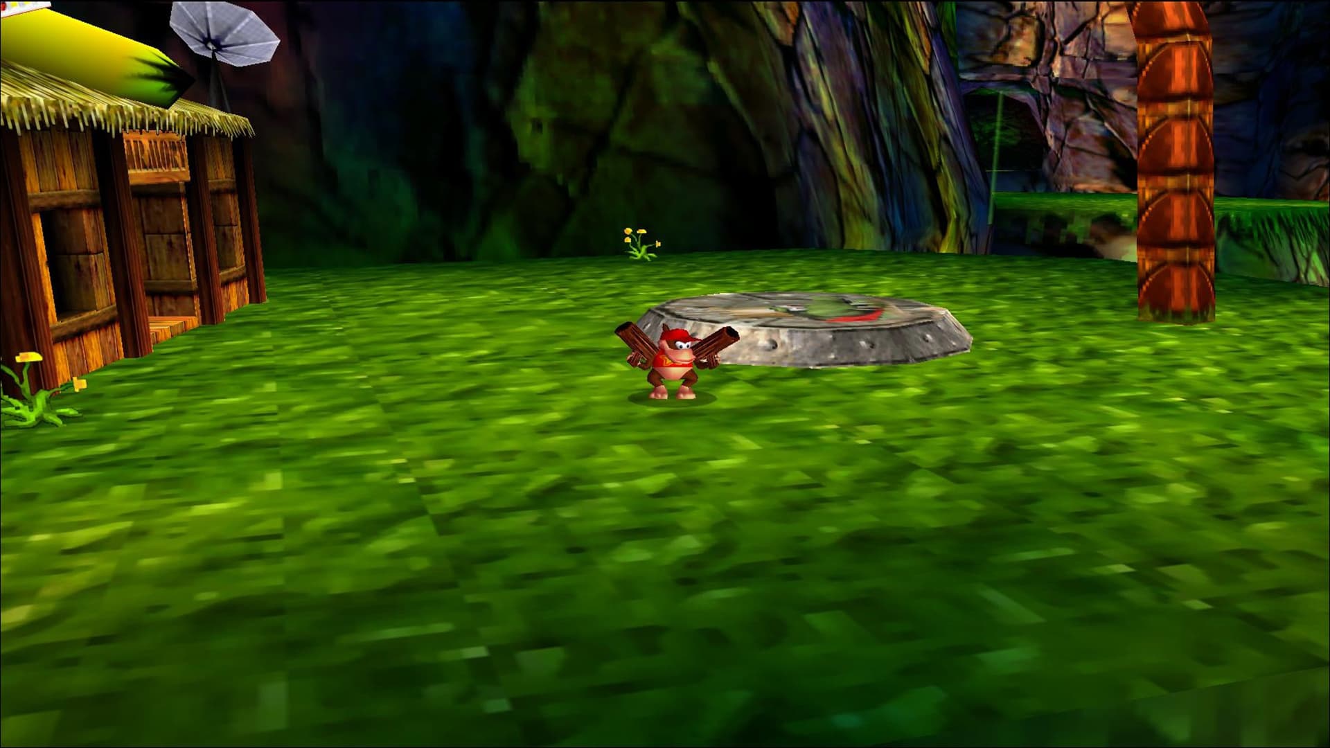Donkey Kong 64 screenshot 5