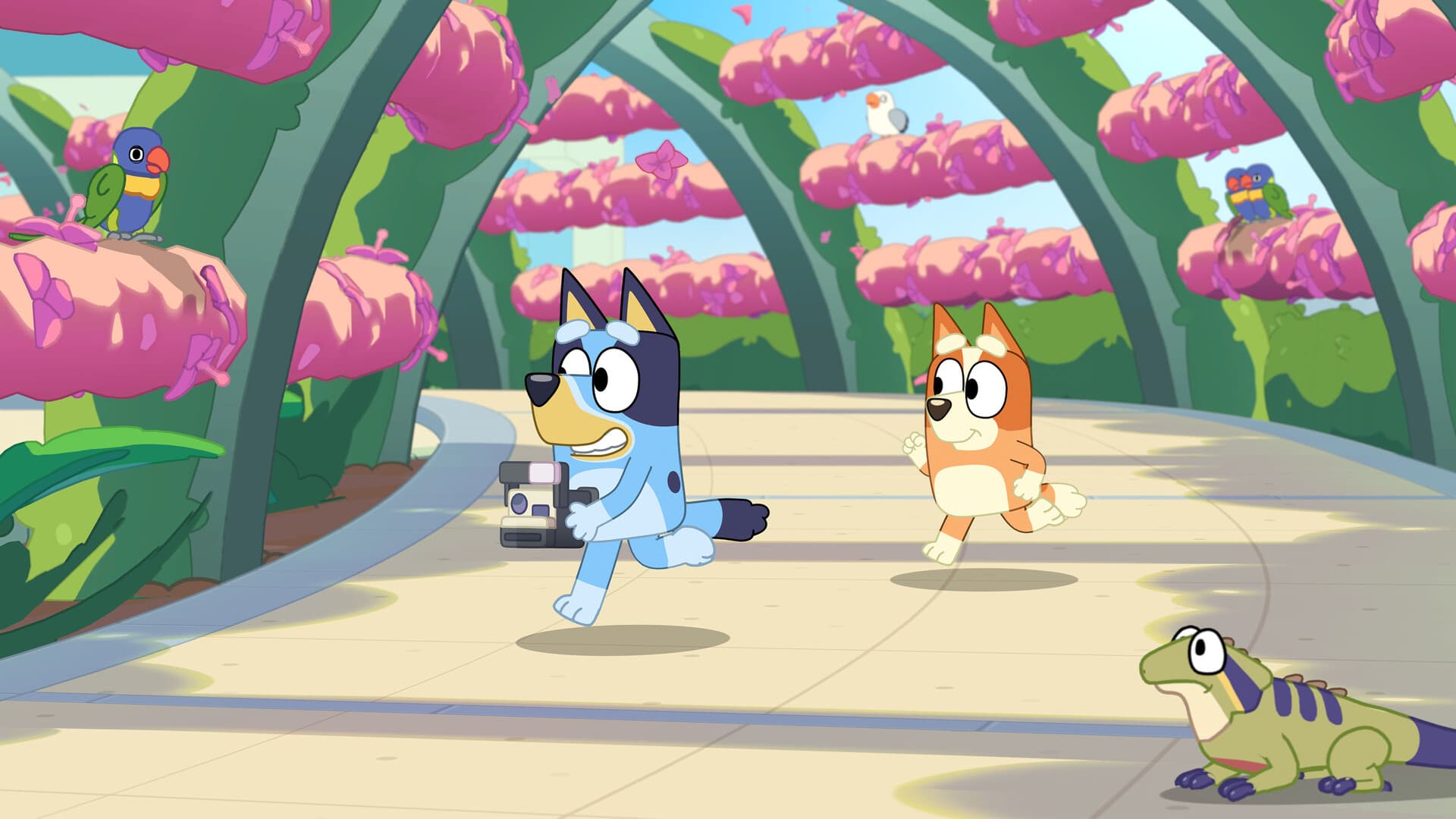 Bluey's Happy Snaps screenshot 9