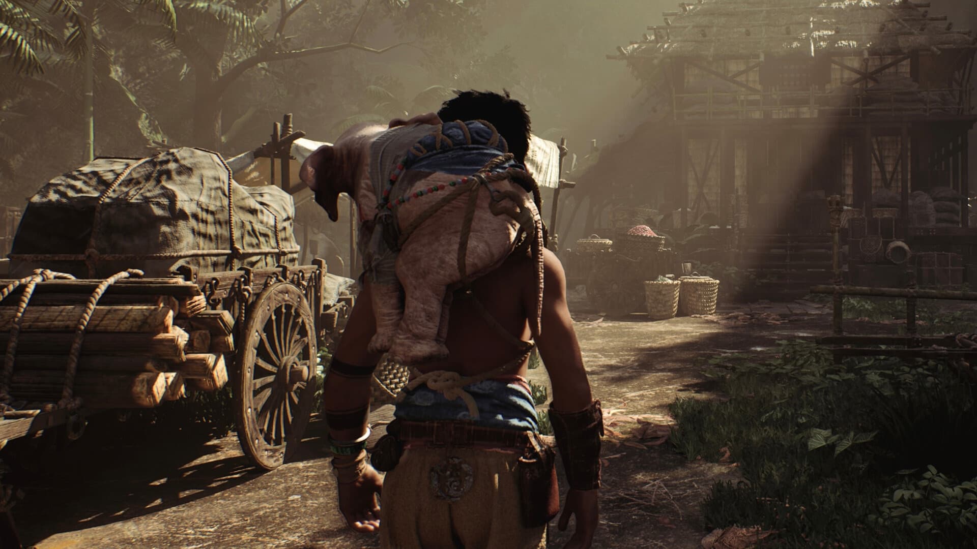 Hanno screenshot 5