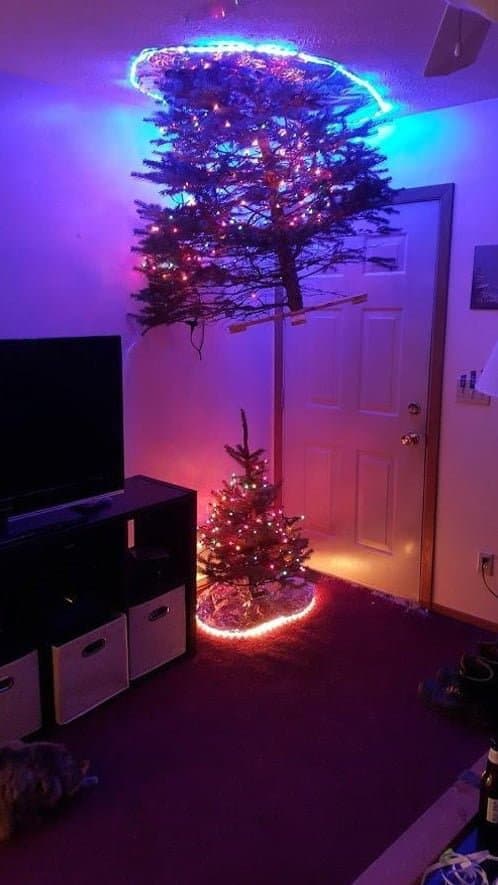 Portal Kerstboom