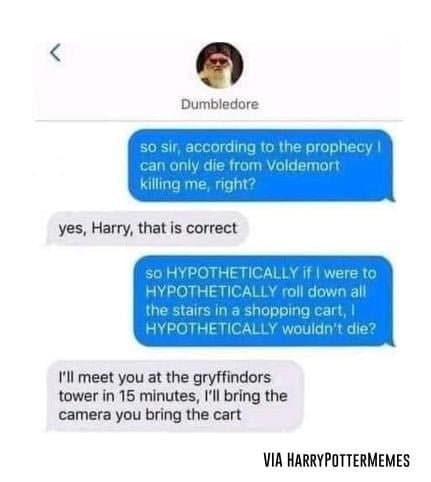 Harry Potter Jackass