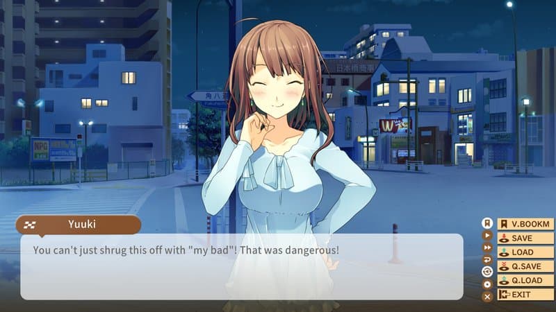 Love, Elections & Chocolate Review-3