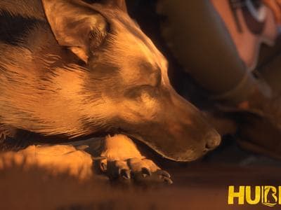 Hubert cover