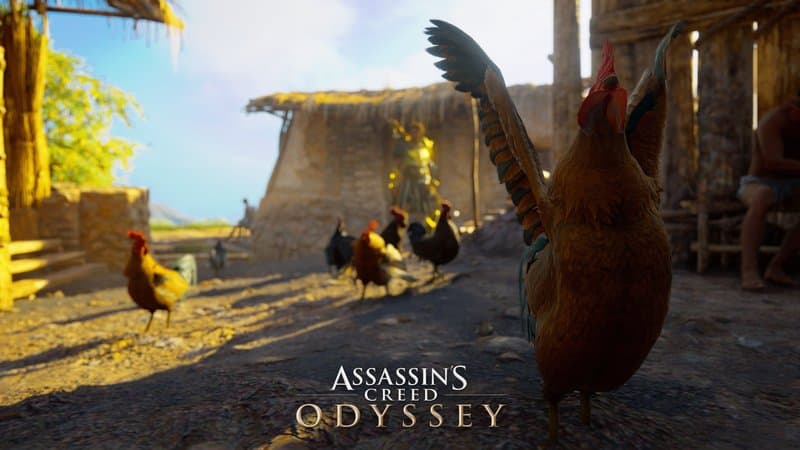 AC Odyssey Chicken