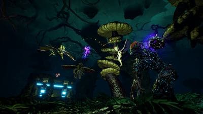 Arboria screenshot 5