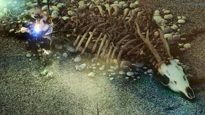 Beautiful Desolation screenshot 4