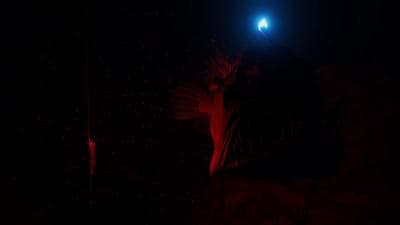 Beyond Blue screenshot 1