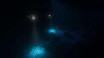Beyond Blue screenshot 2