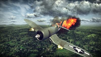 Birds of Steel screenshot 3