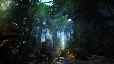 Black Desert screenshot 1