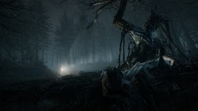 Blair Witch screenshot 5