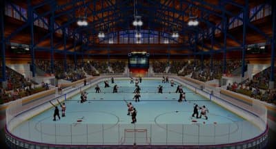 Bush Hockey League screenshot 1