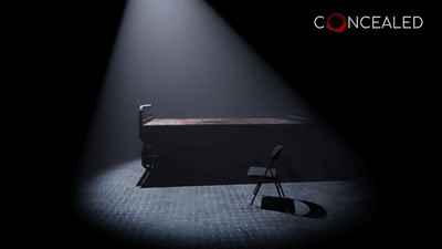 Concealed screenshot 5
