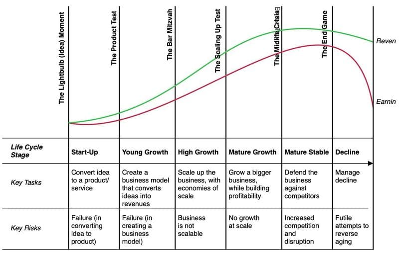 Damodaran company life cycle