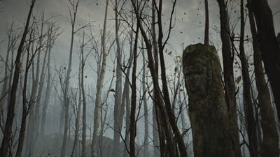 Datura screenshot 2
