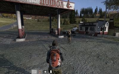 DayZ screenshot 2