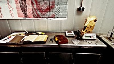 Desolatium screenshot 3