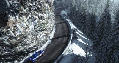 DiRT Rally screenshot 4