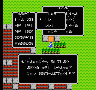 Dragon Warrior screenshot 5