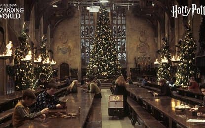 Potteraars kunnen hun lol weer op bij Qwertee