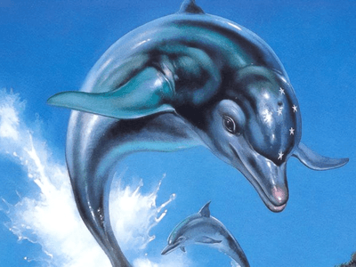 Ecco the Dolphin Cover
