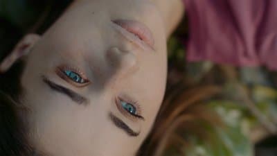 Erica screenshot 6