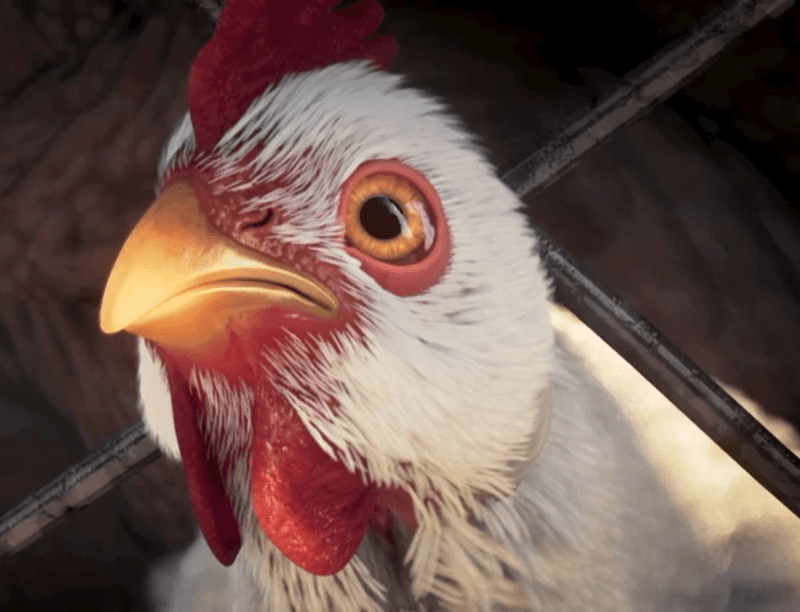 Fable 3 chicken