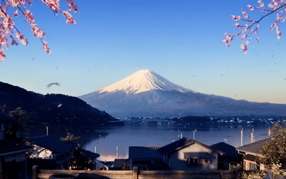 Release-datum van Forza Horizon 6 per ongeluk gelekt