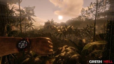 Green Hell screenshot 5