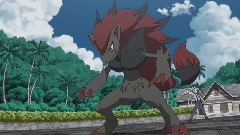 Mohn_Zoroark