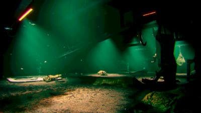 Murky Divers screenshot 5