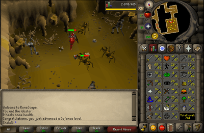Old School RuneScape screenshot 3