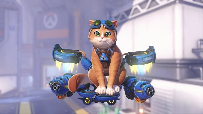 Overwatch Jetpack Cat