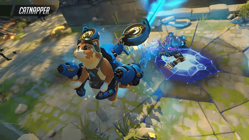Overwatch Jetpack Cat