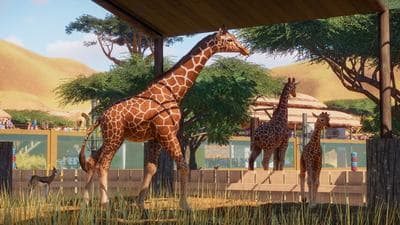 Planet Zoo screenshot 9