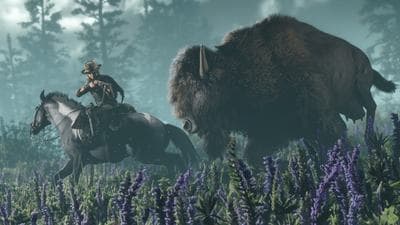 Red Dead Online screenshot 3