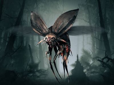 Hunt: Showdown 1896 Cover