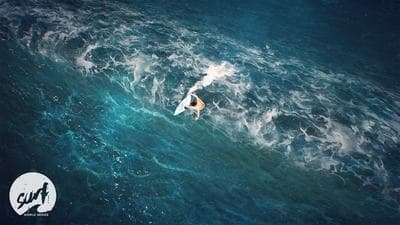 Surf World Series screenshot 1