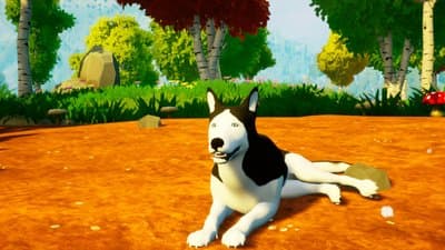 Talking Dogs screenshot 7