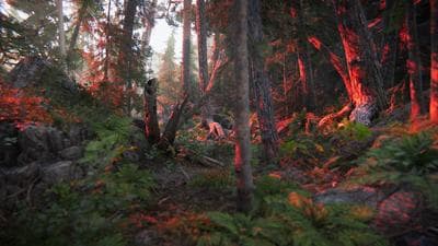 The Forest Cathedral screenshot 1