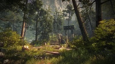 The Forest screenshot 2