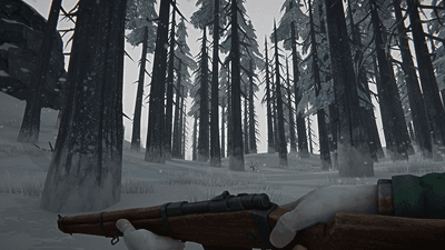 The Long Dark screenshot 6