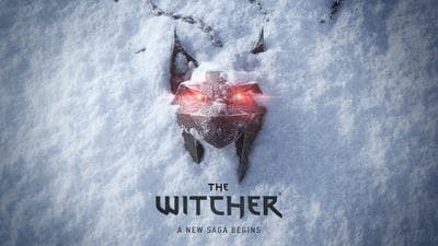 The Witcher screenshot 1