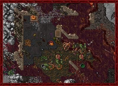 Tibia screenshot 1