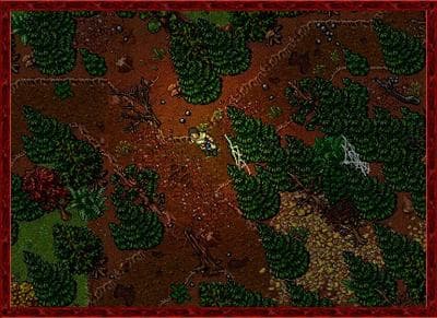 Tibia screenshot 5