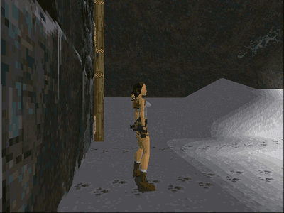 Tomb Raider screenshot 3