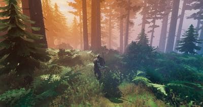 Valheim screenshot 9