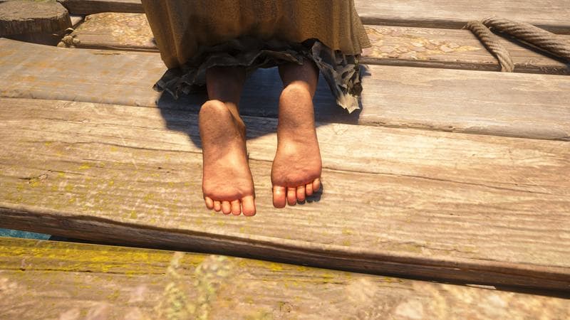 Assassin's Creed Black Flag Resynced