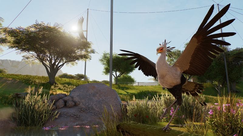 planet-zoo-2-vogel